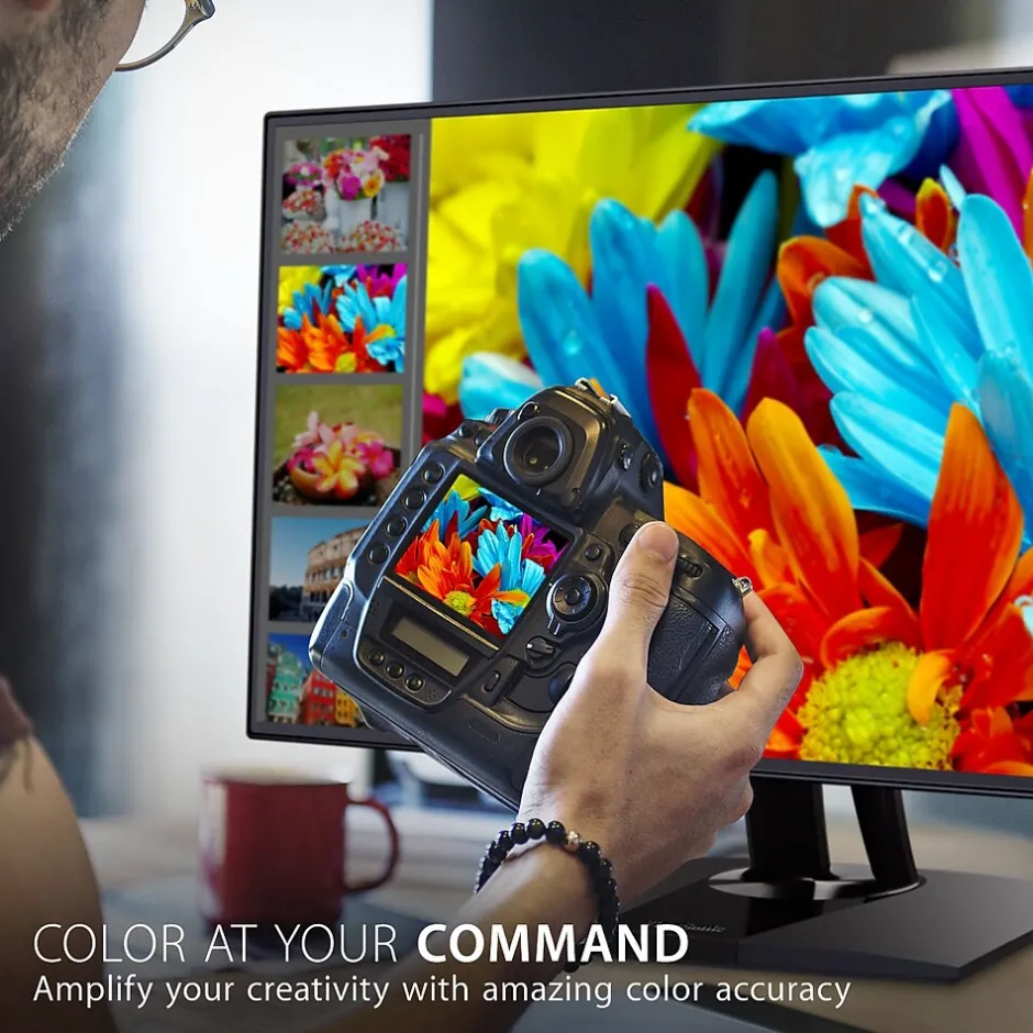 ViewSonic ColorPro 24" 60 Hz LCD Monitor, Black (VP2468A)* Flat Monitors