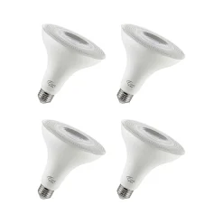 Light Bulbs<Viribright 12-Watt Soft White LED Floodlight Bulb, 4/Box (450159-ES)