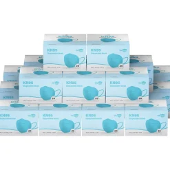 WeCare Disposable KN95 Face Mask, Adult, Blue, 20 Masks/Box, 50 Boxes/Pack (TBN203230)