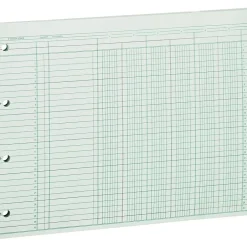 Best Wilson Jones Columnar Sheets, Ledger Paper, Ruled, 30 Lines, 6 Columns, Green Paper, 9 1/4" x 11 7/8", 100/Pk Accounting & Record Journals