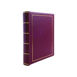 Best Wilson Jones Minute Record Book, 9.3"W x 11.6"H x 1.7"D, Red (W0396-11) Accounting & Record Journals