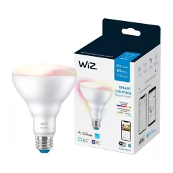 Smart Bulbs<Philips WiZ 65W Equivalent BR30 LED Smart Bulb, White (603456)