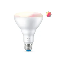 Smart Bulbs<Philips WiZ 65W Equivalent BR30 LED Smart Bulb, White (603456)