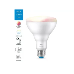 Smart Bulbs<Philips WiZ 65W Equivalent BR30 LED Smart Bulb, White (603456)