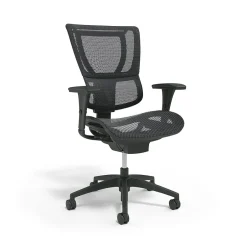 Sale Workplace2.0 Lawton Ergonomic Mesh Swivel Task Chair, Black (UN62655) Office Chairs